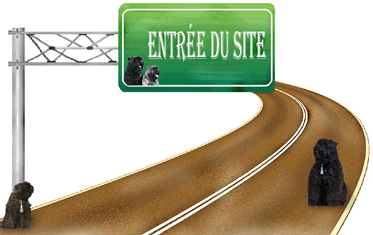 SITE WEB ELEVAGE DU CLOS DE LA LUETTE SPECIALISE POUR LE BOUVIER DES FLANDRES &copy;